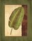 Palm Tropical II Poster Print by Delphine Corbin - Item # VARPDXCBN055